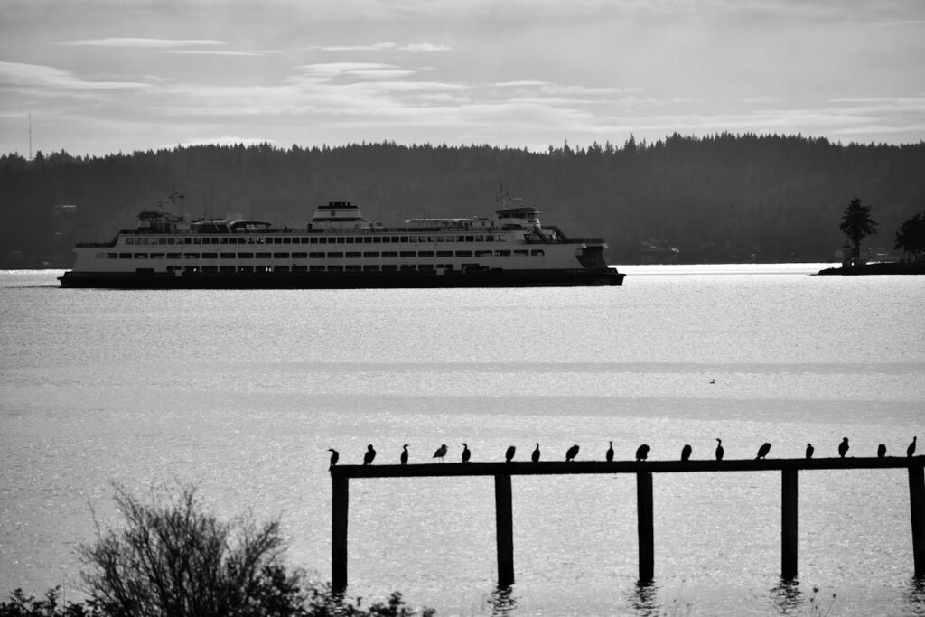 pexels-photo-19938086 MV Spokane Ferry on Sea Coast